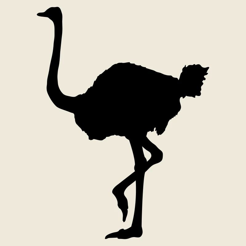 Ostrich