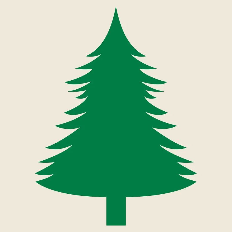 Fichte, Tanne, Wald1