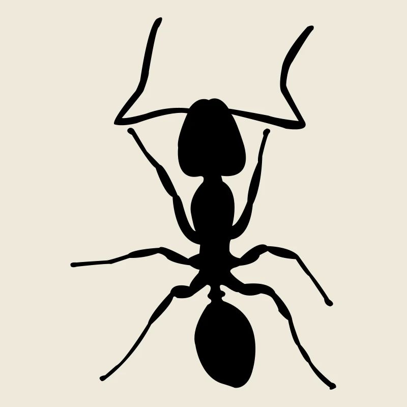 ant