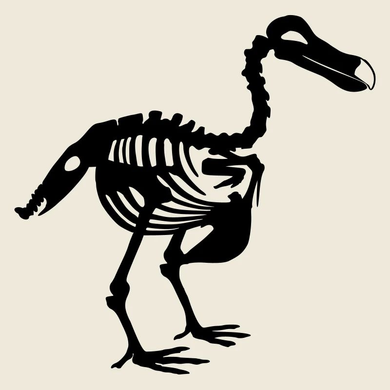 Dodo