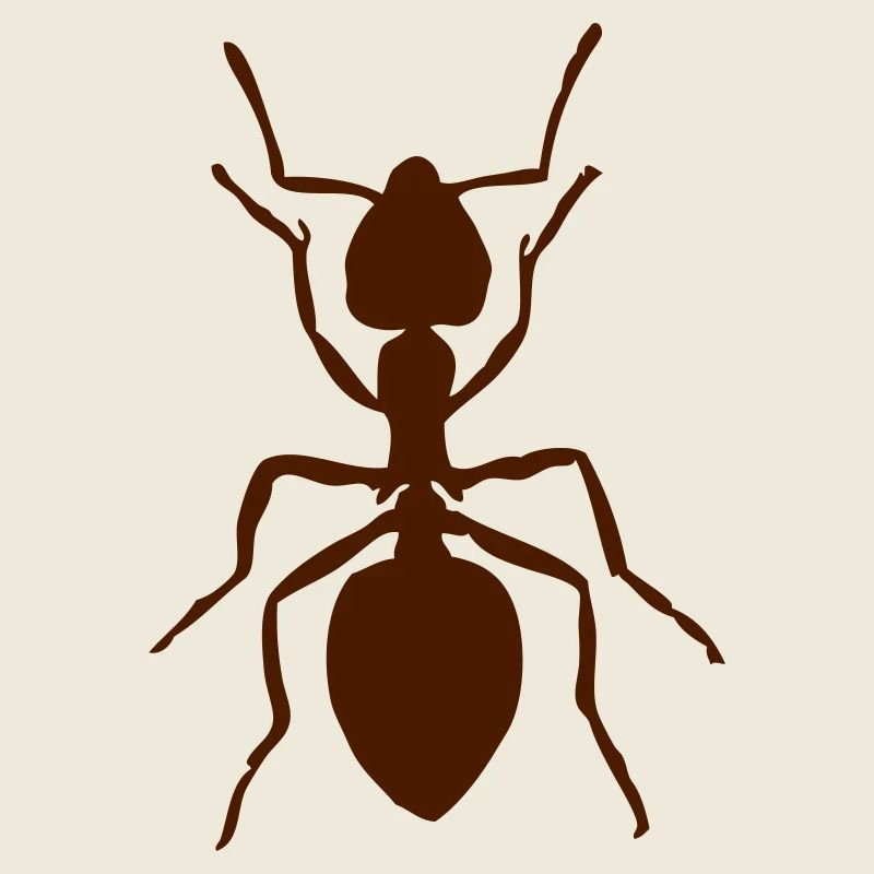 Ant animal insect small gift idea crawl
