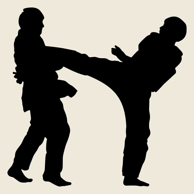 taekwondo kickers 1c