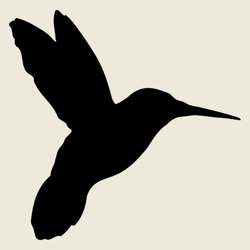 kolibri_gm1