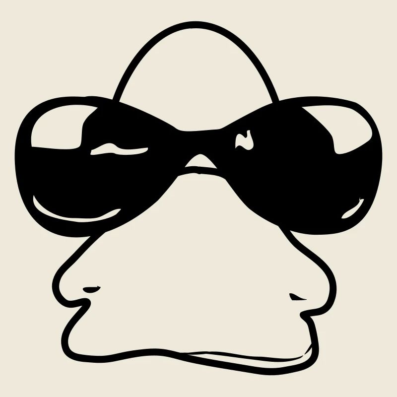 sunglasses_duck