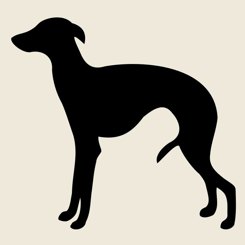 Italienisches Windspiel