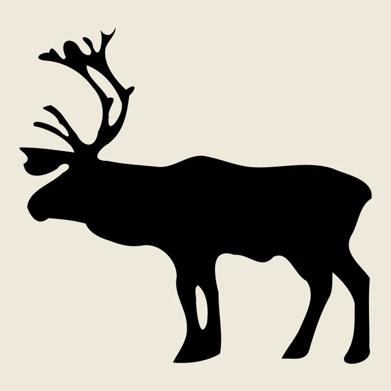 Reindeer
