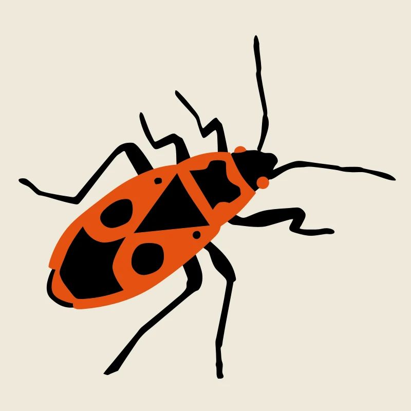 Incendie du pin - insecte - Firebug