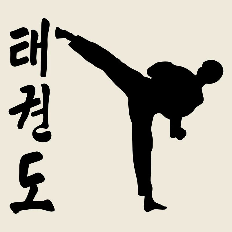 taekwondo high kick kick fight
