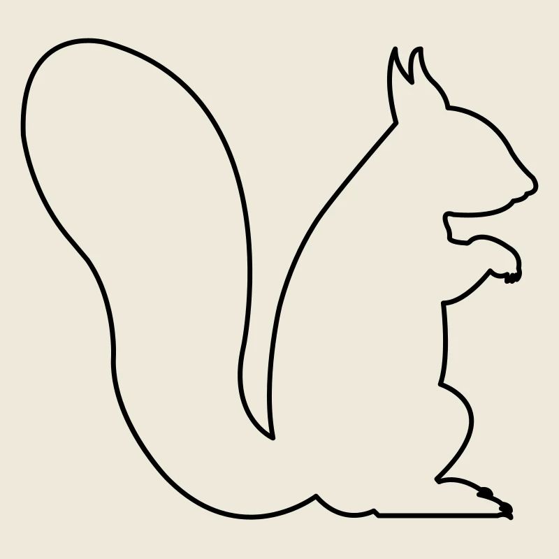 squirrel