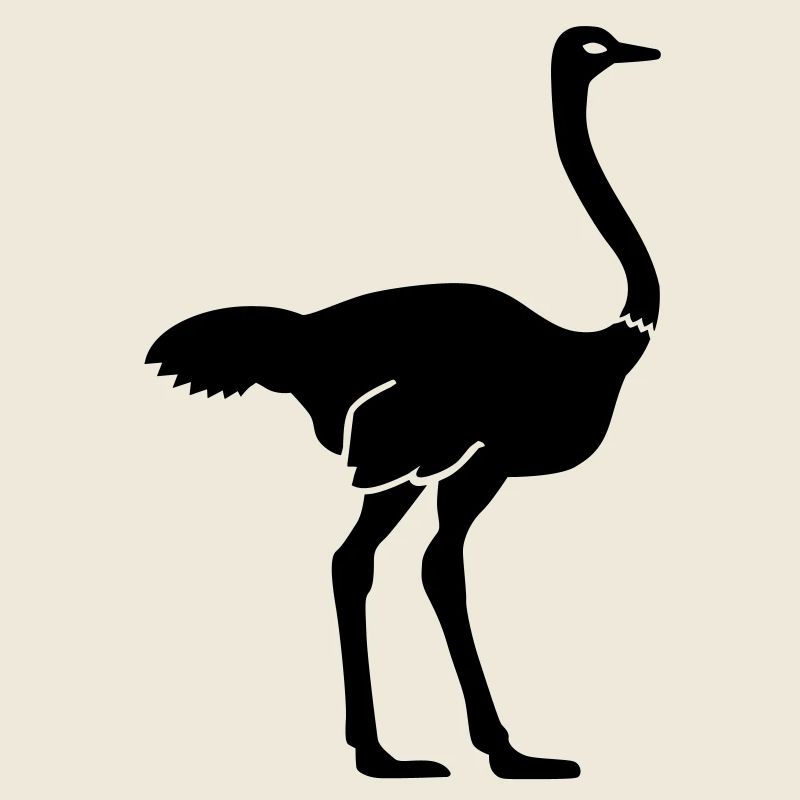 Ostrich