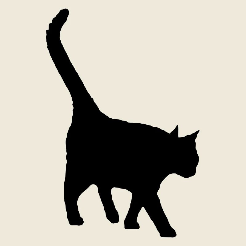 black cat