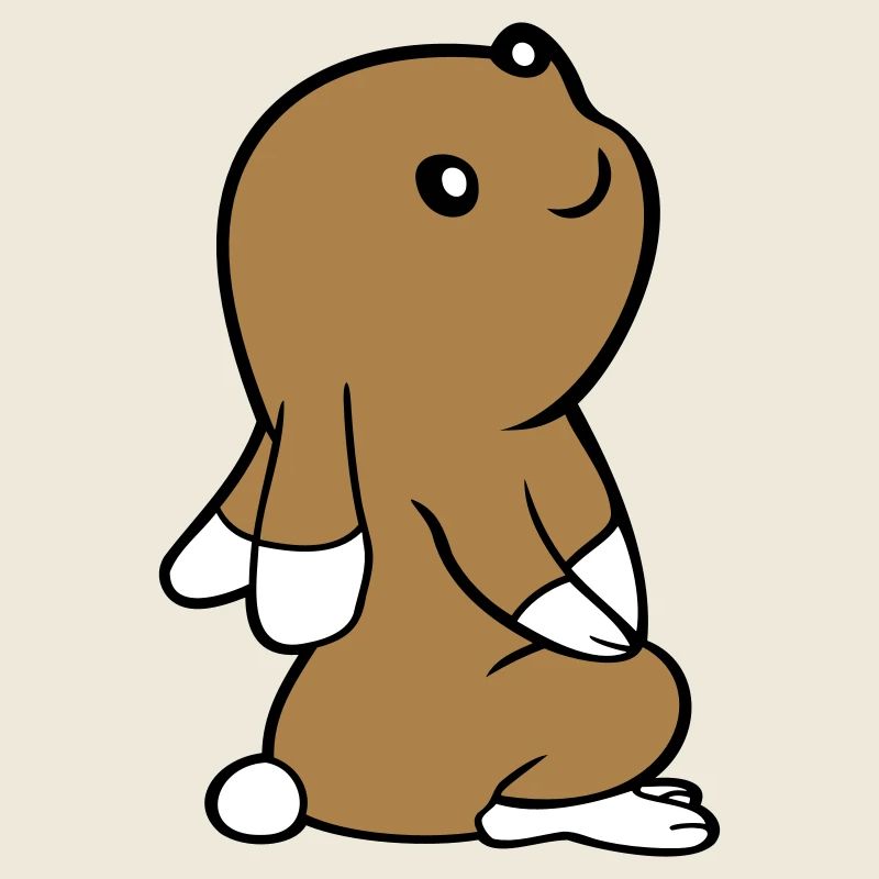 Rabbit looks up watching stars