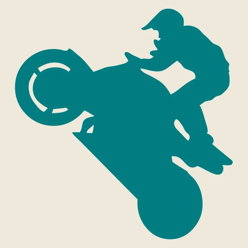 Smash stunts man motorcycle 1