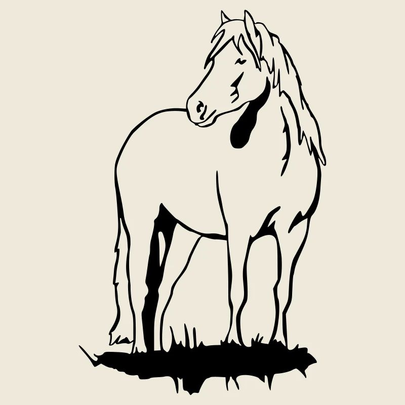 Haflinger Pony