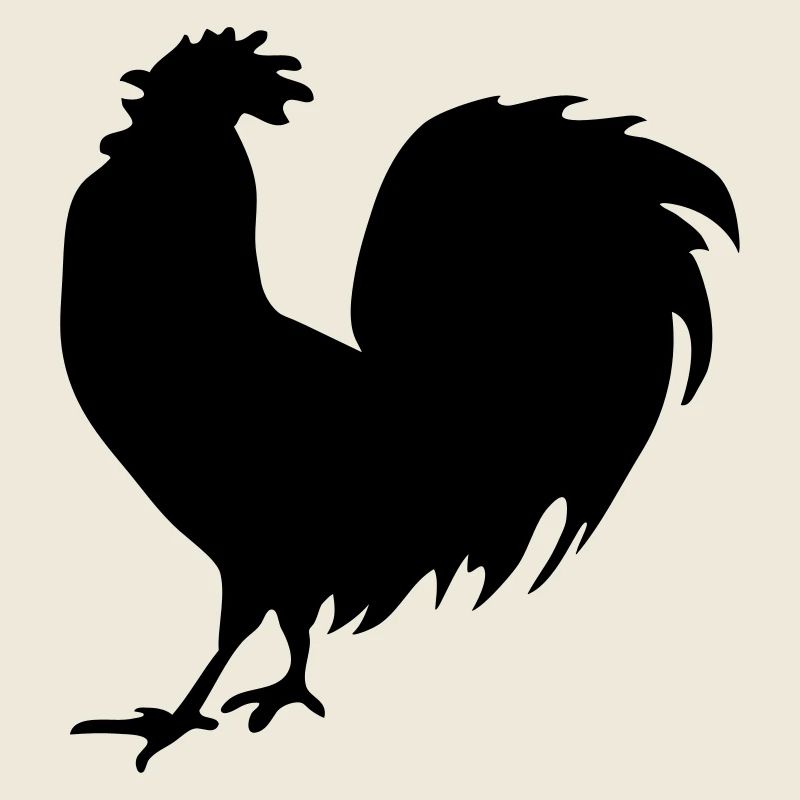 ROOSTER coq