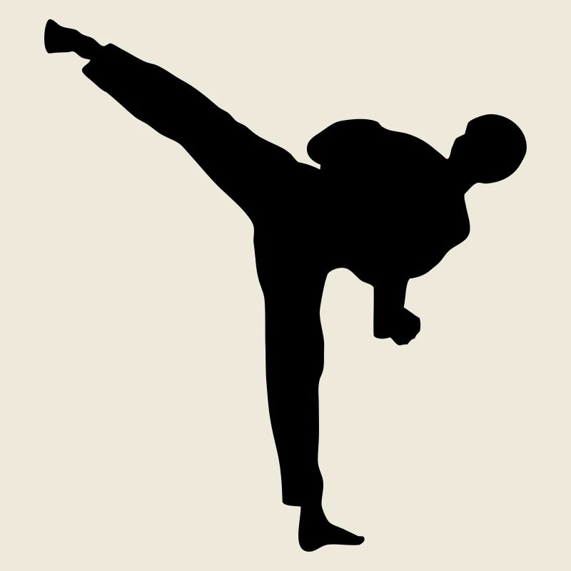 taekwondo high kick kick fight