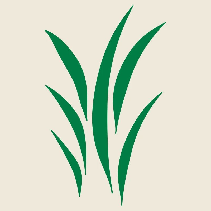lawn
