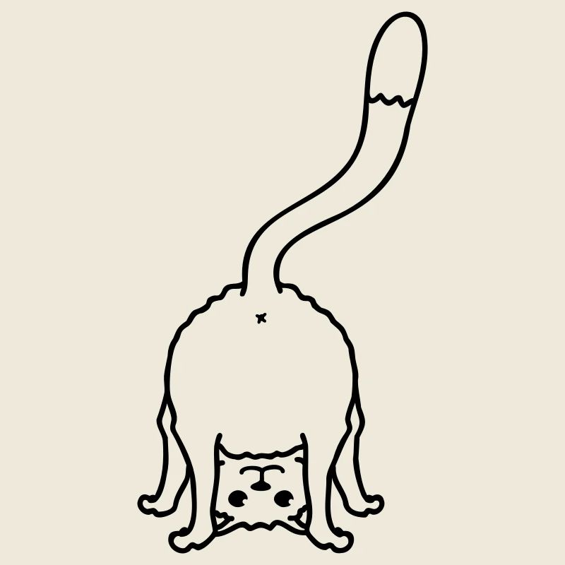Funny Cat From Behind Shows Backside Ass Fun