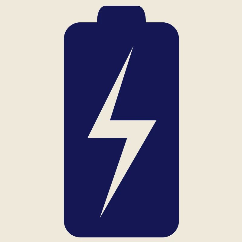 Battery charging status