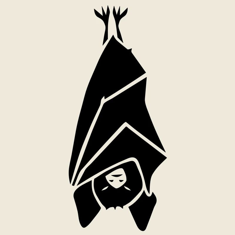 fledermaus bat winterschlaf schlafen schlaf