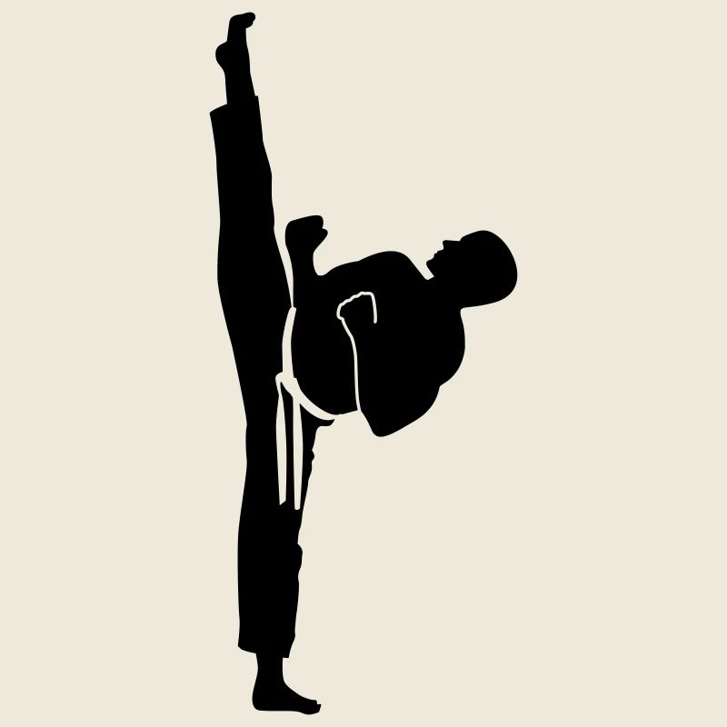 karate kick