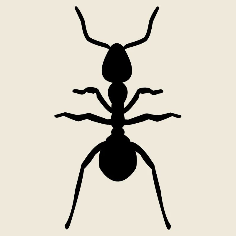 ant