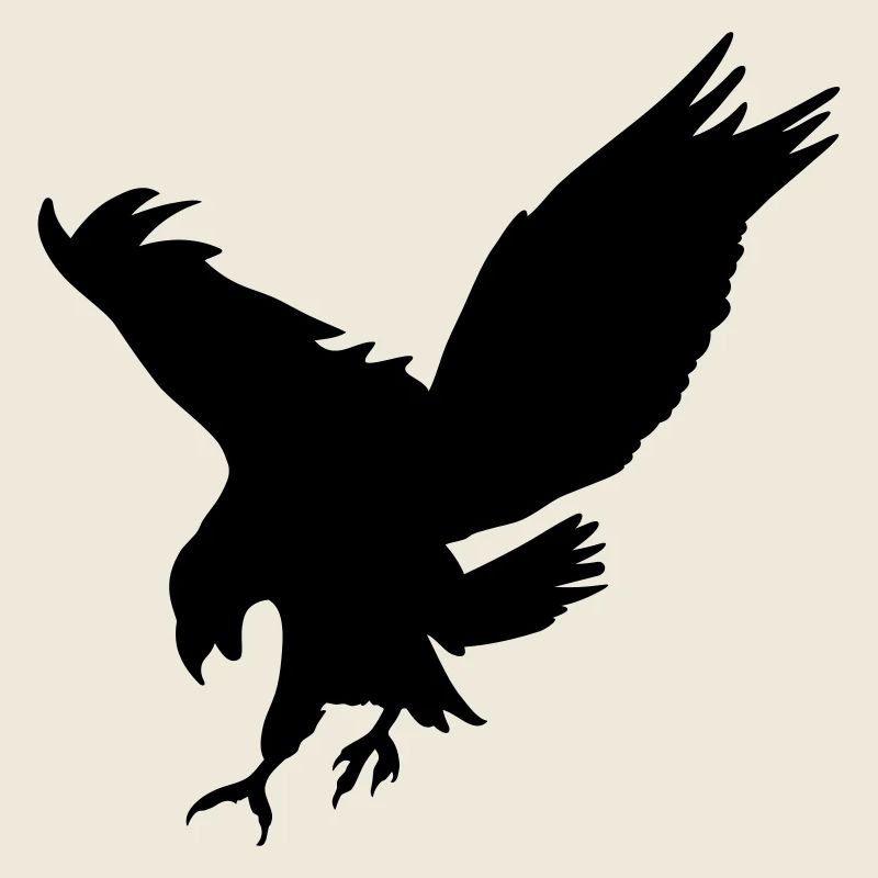 Rabe Tier Idee Geschenk Schnabel Krallen Vogel