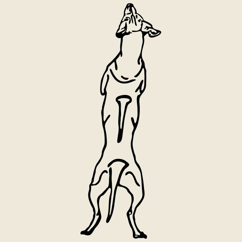 Ridgeback back