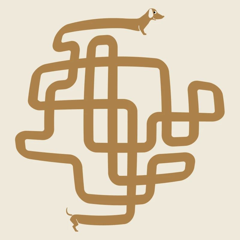 chien saucisse drôle, chien saucisse, teckel