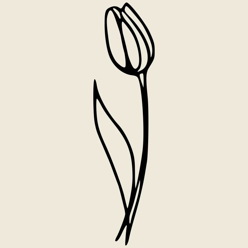 tulip