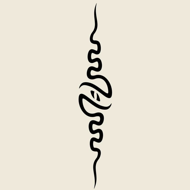 spine_front