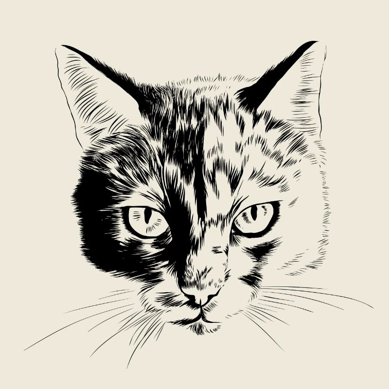Cat portrait