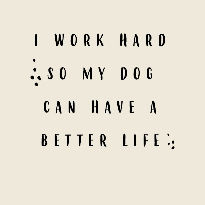 Everything for the dog