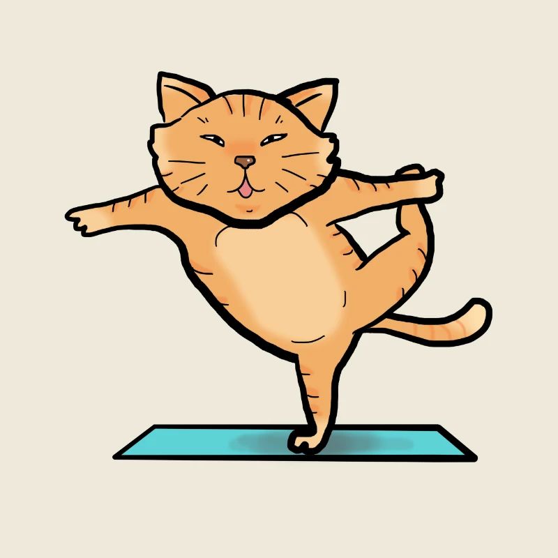 Chat en train de faire du sport
