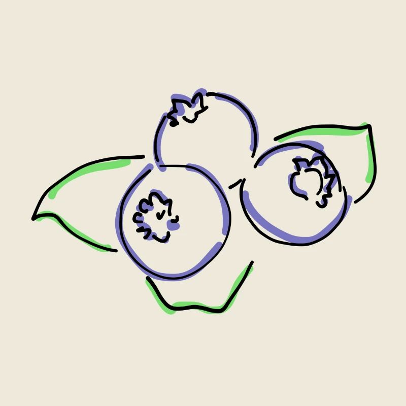 Heidelbeeren