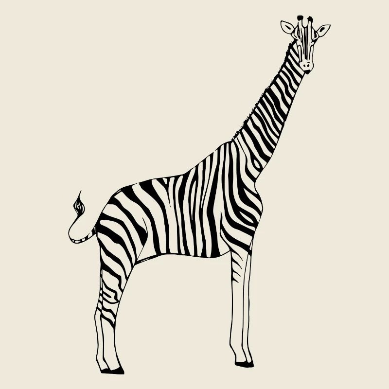 zebra giraffe