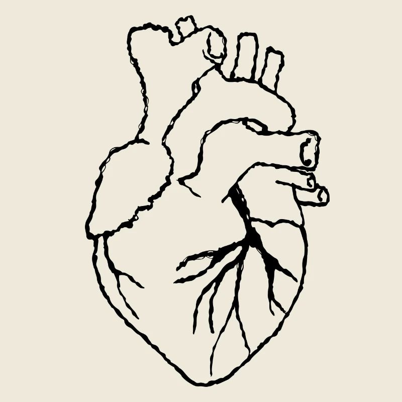 Human heart
