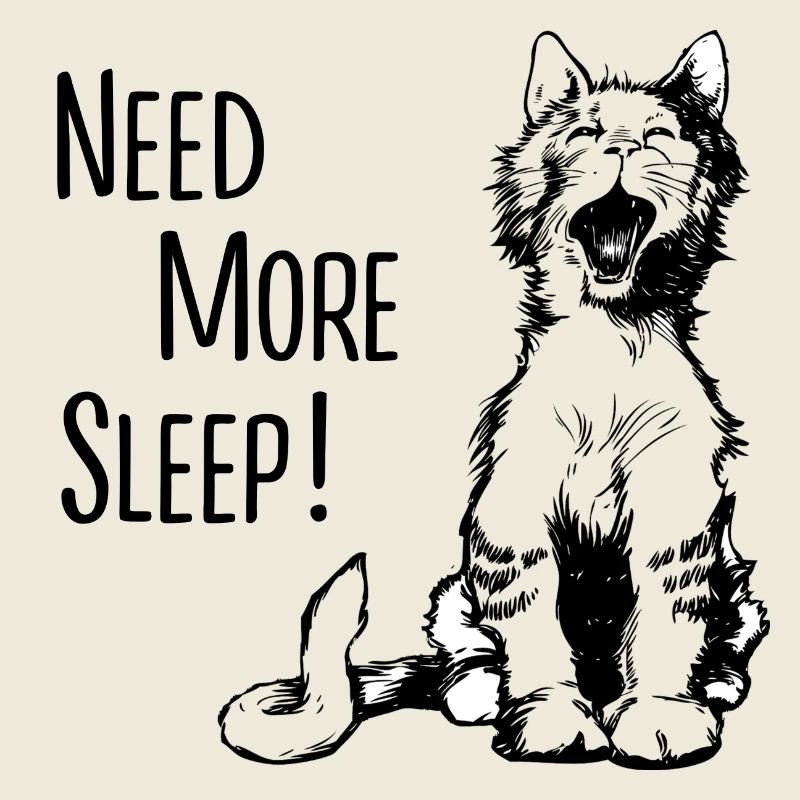 Need More Sleep - Chat - Jour du Chat - Sommeil