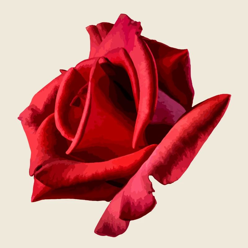 Red Rose