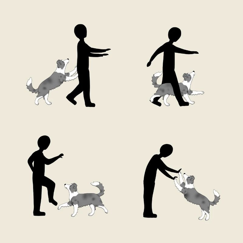 Four images pixels dog dancing Border Collie