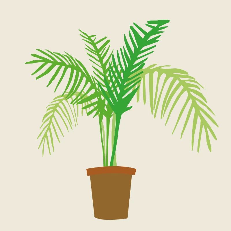 palm tree