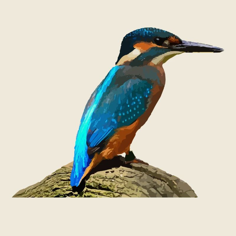 Kingfisher