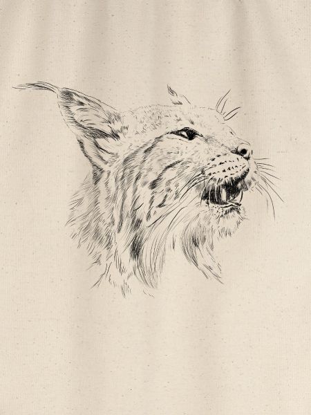 Lynx