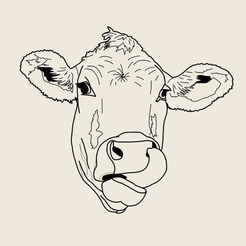 Vache léchant