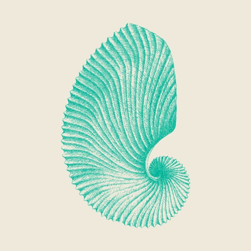Teal Abstract Snail Pattern