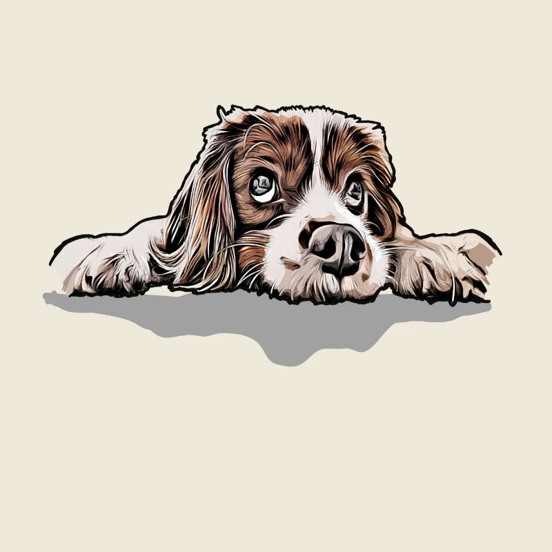 Cavalier King Charles Spaniel