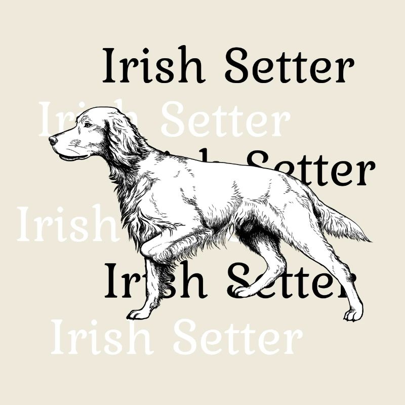 Irish Setter above