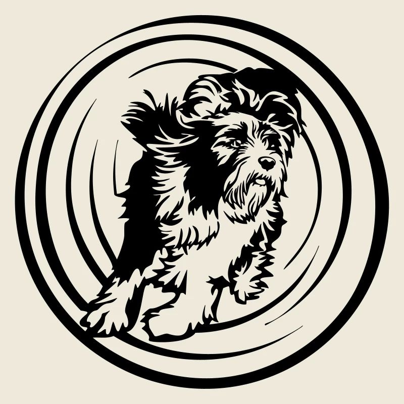Bearded Collie