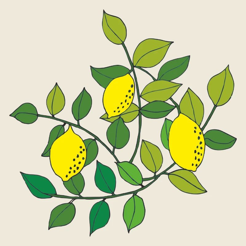 citronnier
