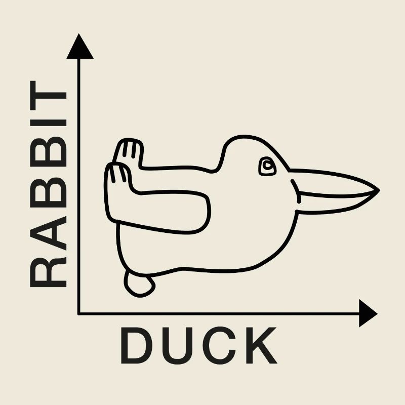 Rabbit - Duck - Nerdshirt